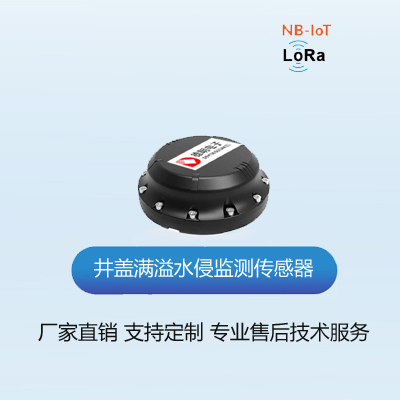 低功耗NB-IOT甲烷监测传感器
