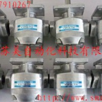 K1P齿轮泵,K1P1R11A